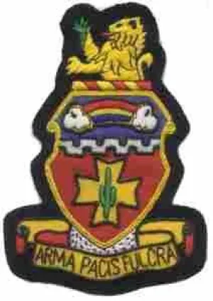 139th Field Artillery Battalion, Custom made Cloth Patch