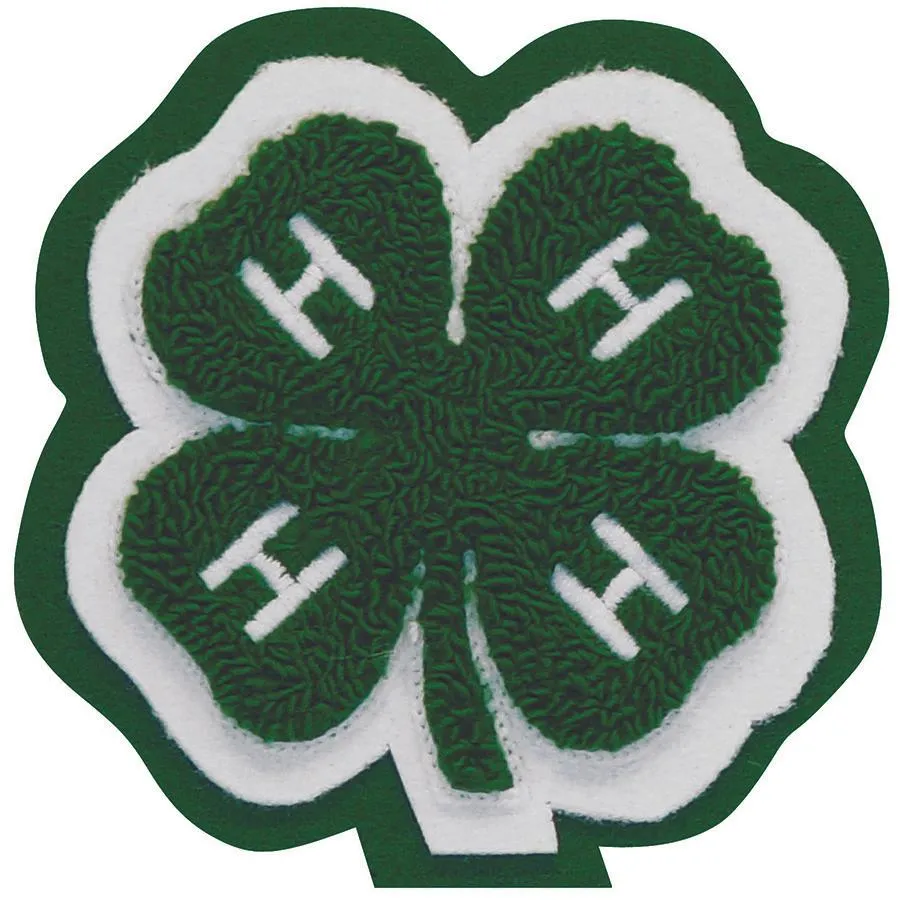4-H Varsity Letter - Small