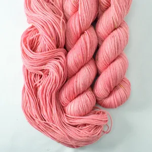 Andean Flamingo - Cupcake