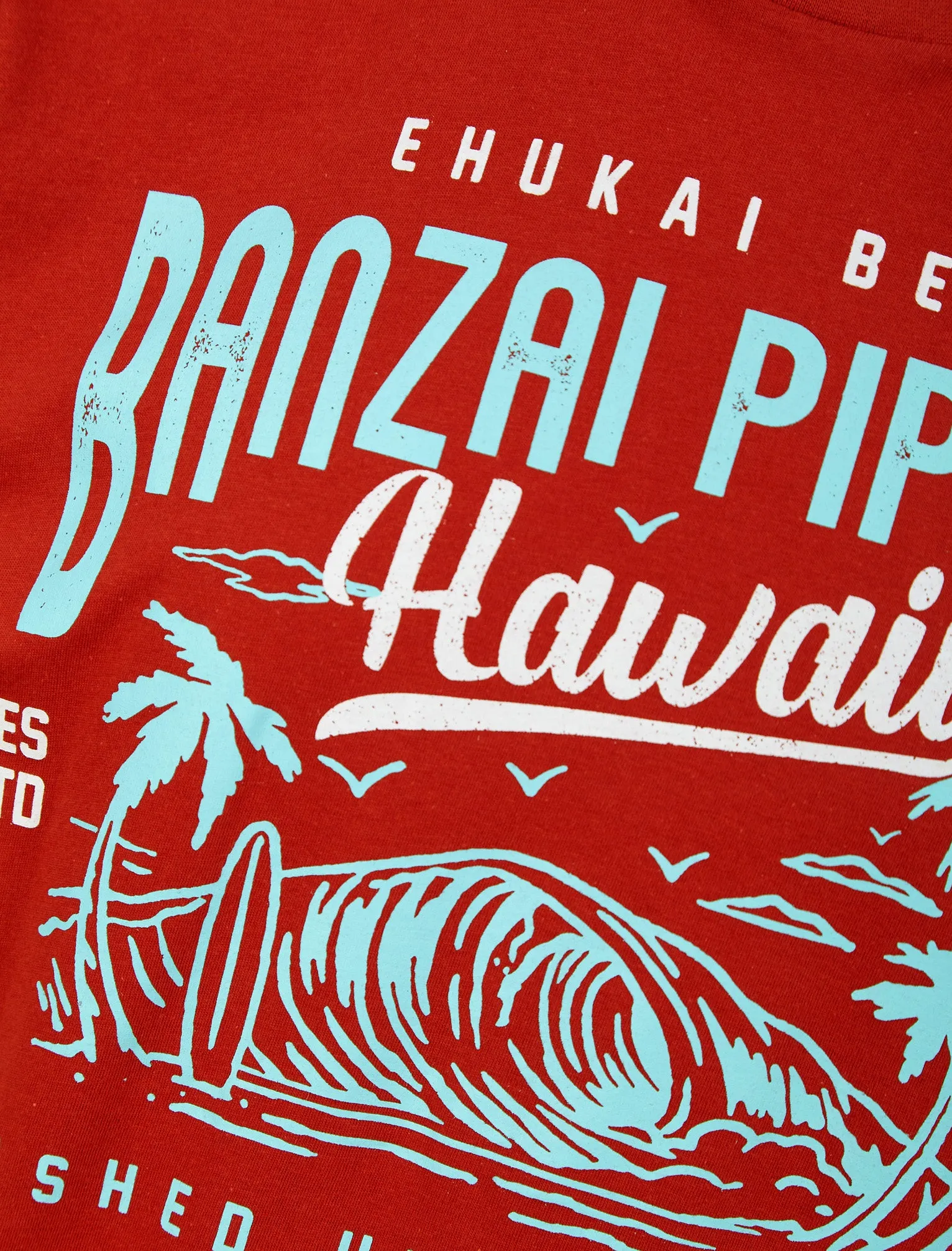 Banzai Pipeline Motif Cotton Jersey T-Shirt in Bossa Nova Rust - South Shore