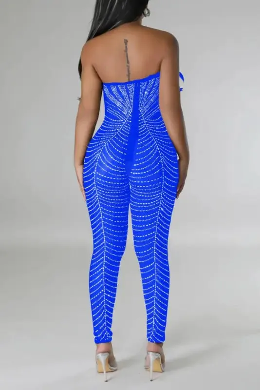 Birds Of A Feather Strapless Mesh Jumpsuit