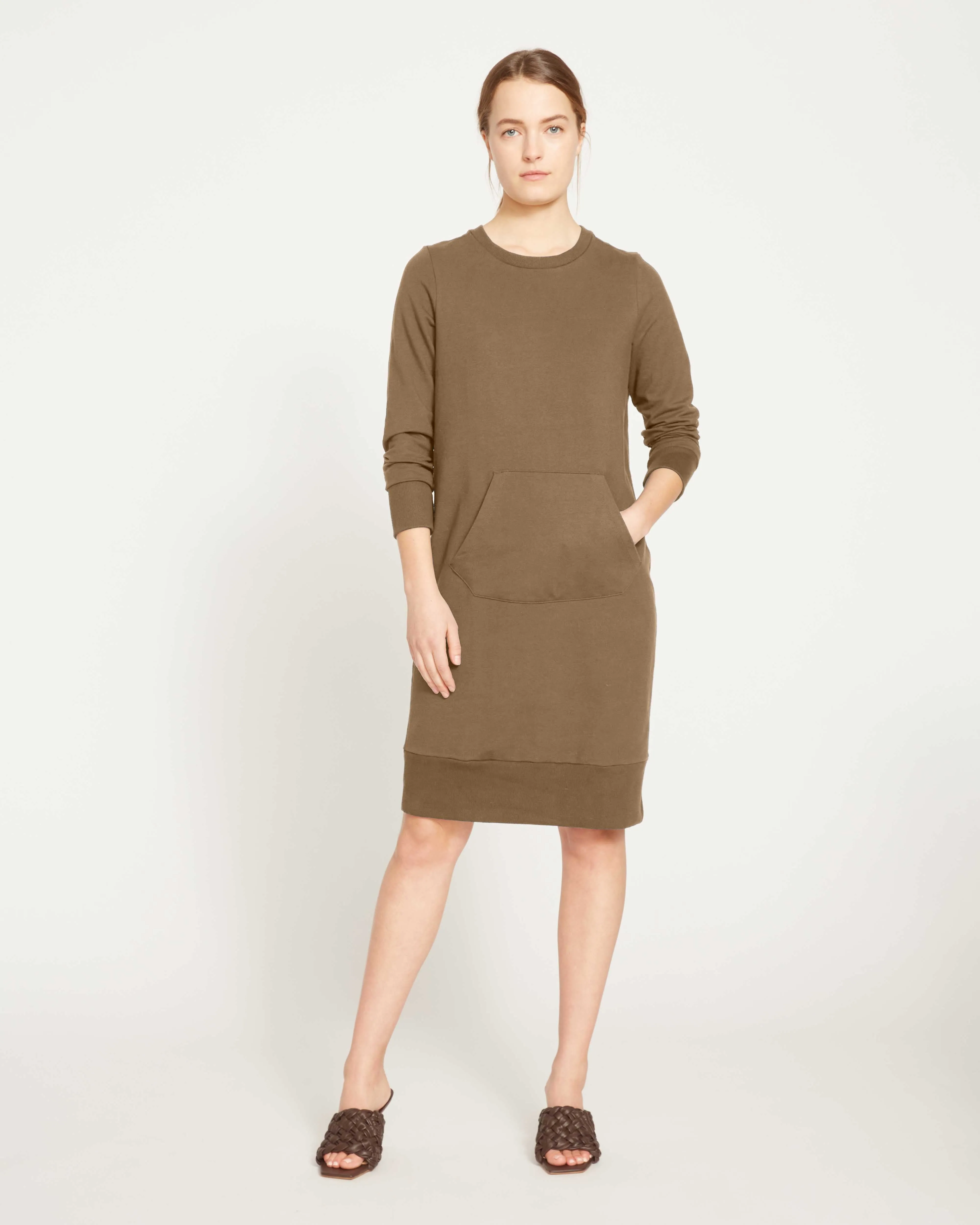 Bree Sweatshirt Dress - Crocodile