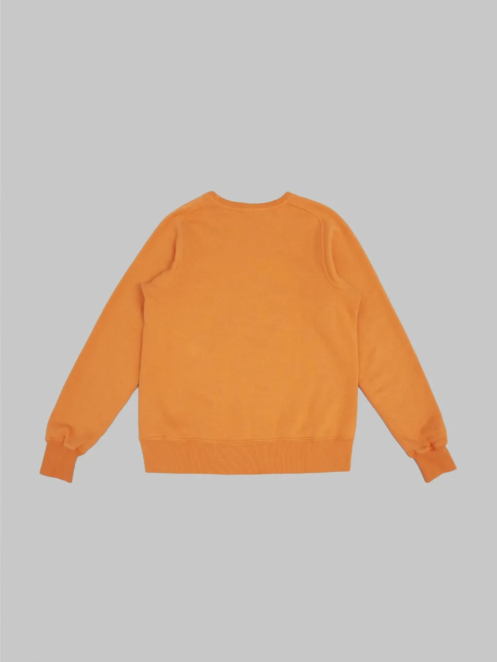 Buzz Rickson's BR69463 Freedom Sleeve Sweatshirt Orange