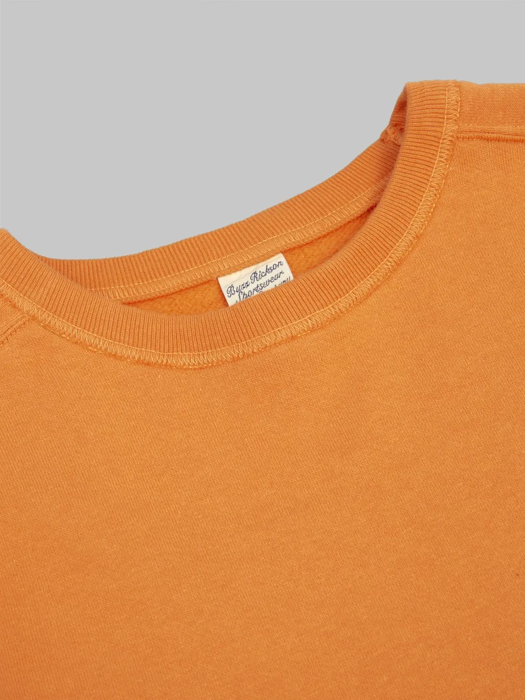 Buzz Rickson's BR69463 Freedom Sleeve Sweatshirt Orange