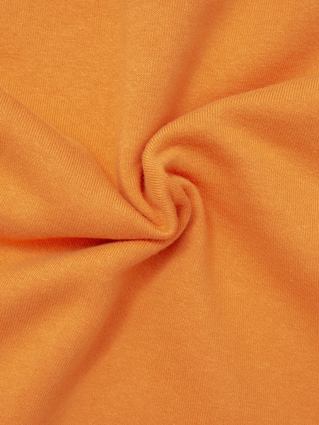 Buzz Rickson's BR69463 Freedom Sleeve Sweatshirt Orange
