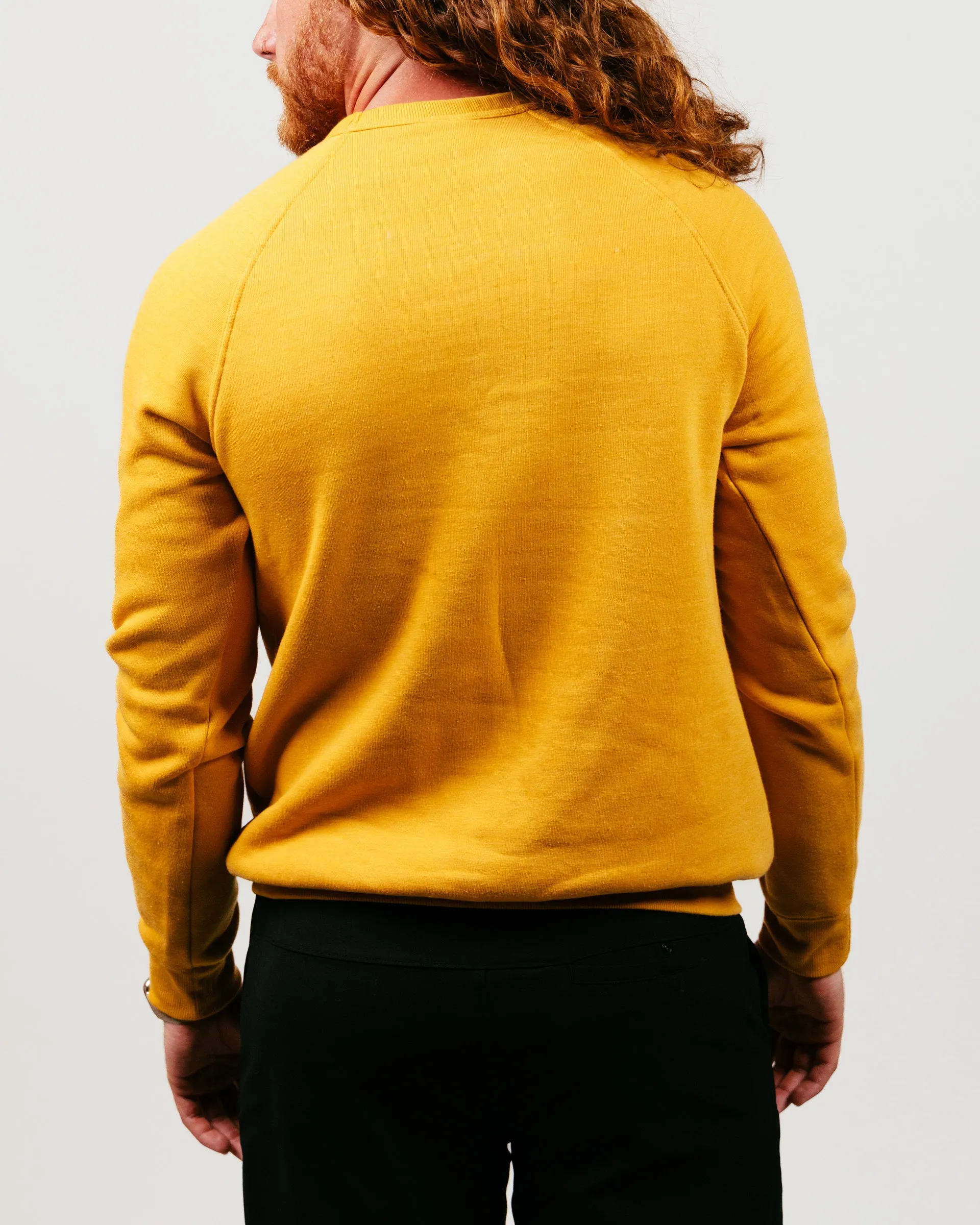 Columbia Missouri Arch Mascot Gold Crewneck