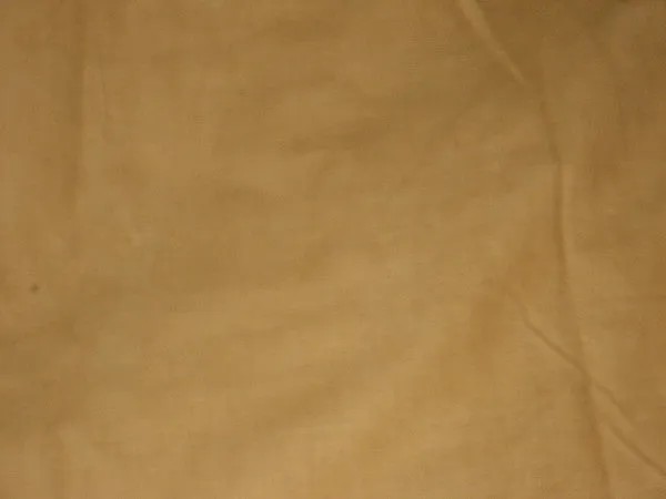 COTTON CORDUROY Fabric Beige color WIDE[2395]