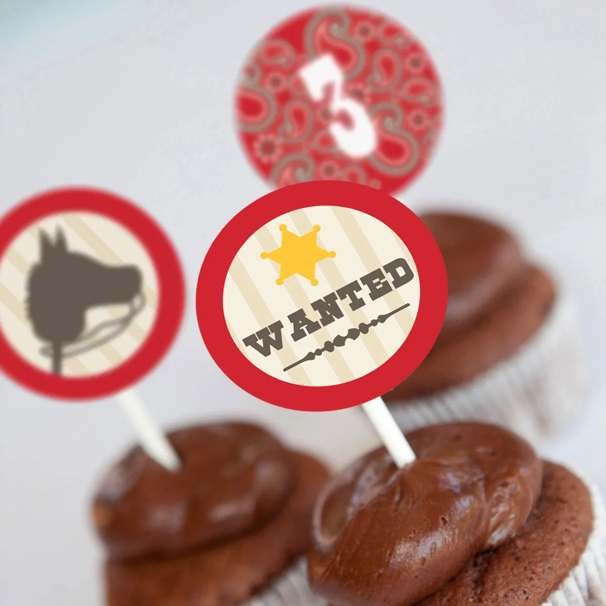 Cowboy Birthday Party Decorations | Cowboys And Indians Party
