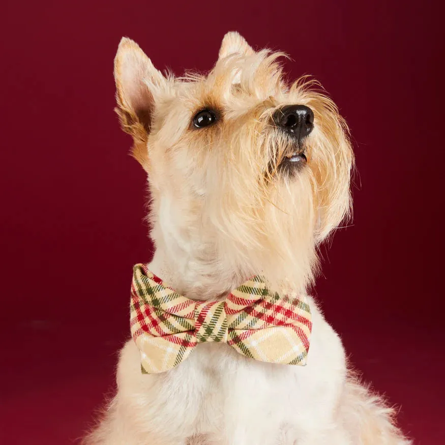 Dog and Cat Bowtie: Eggnog Plaid Flannel