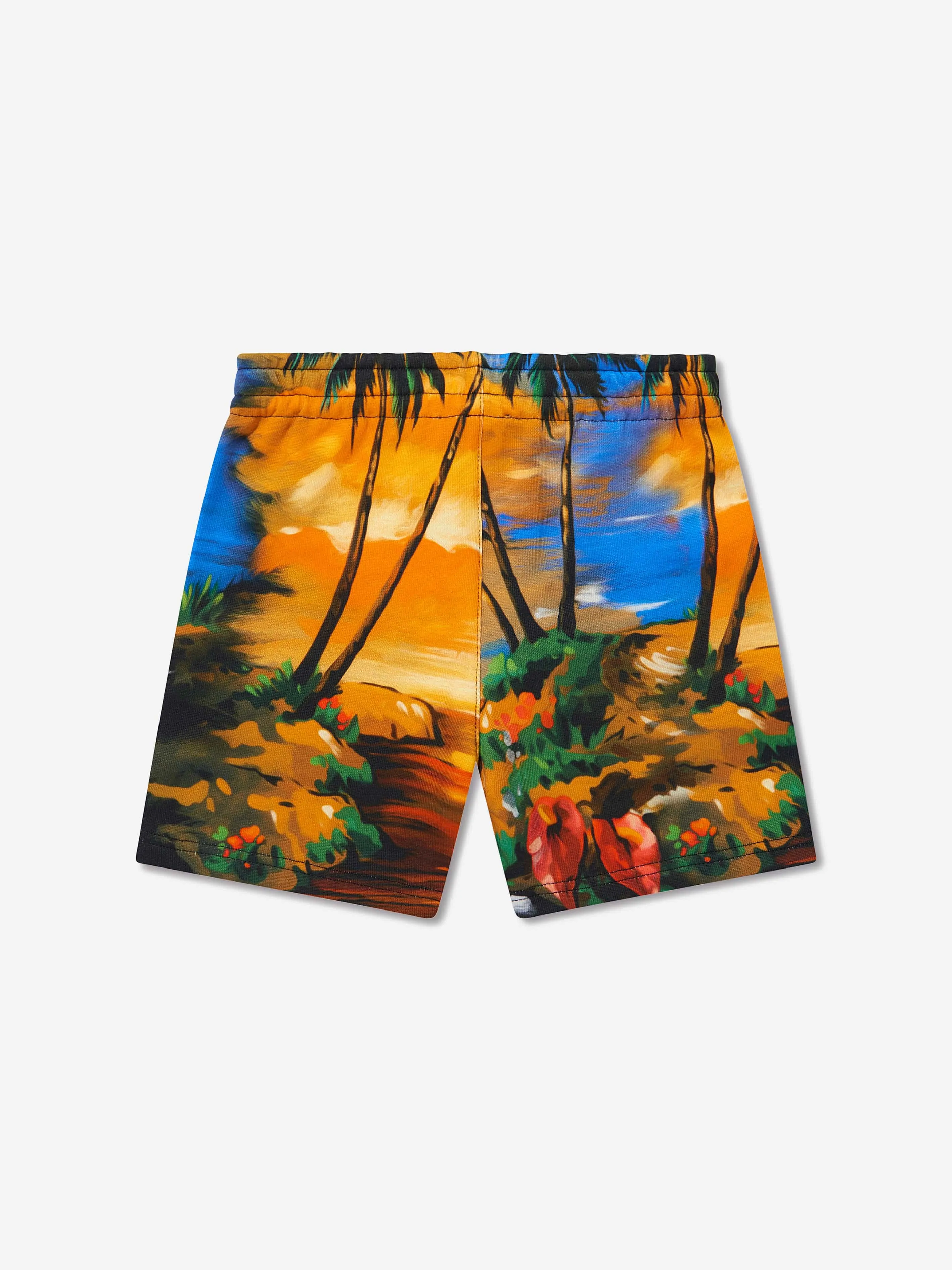 Dolce & Gabbana Baby Boys Hawaiian Shorts in Multicolour