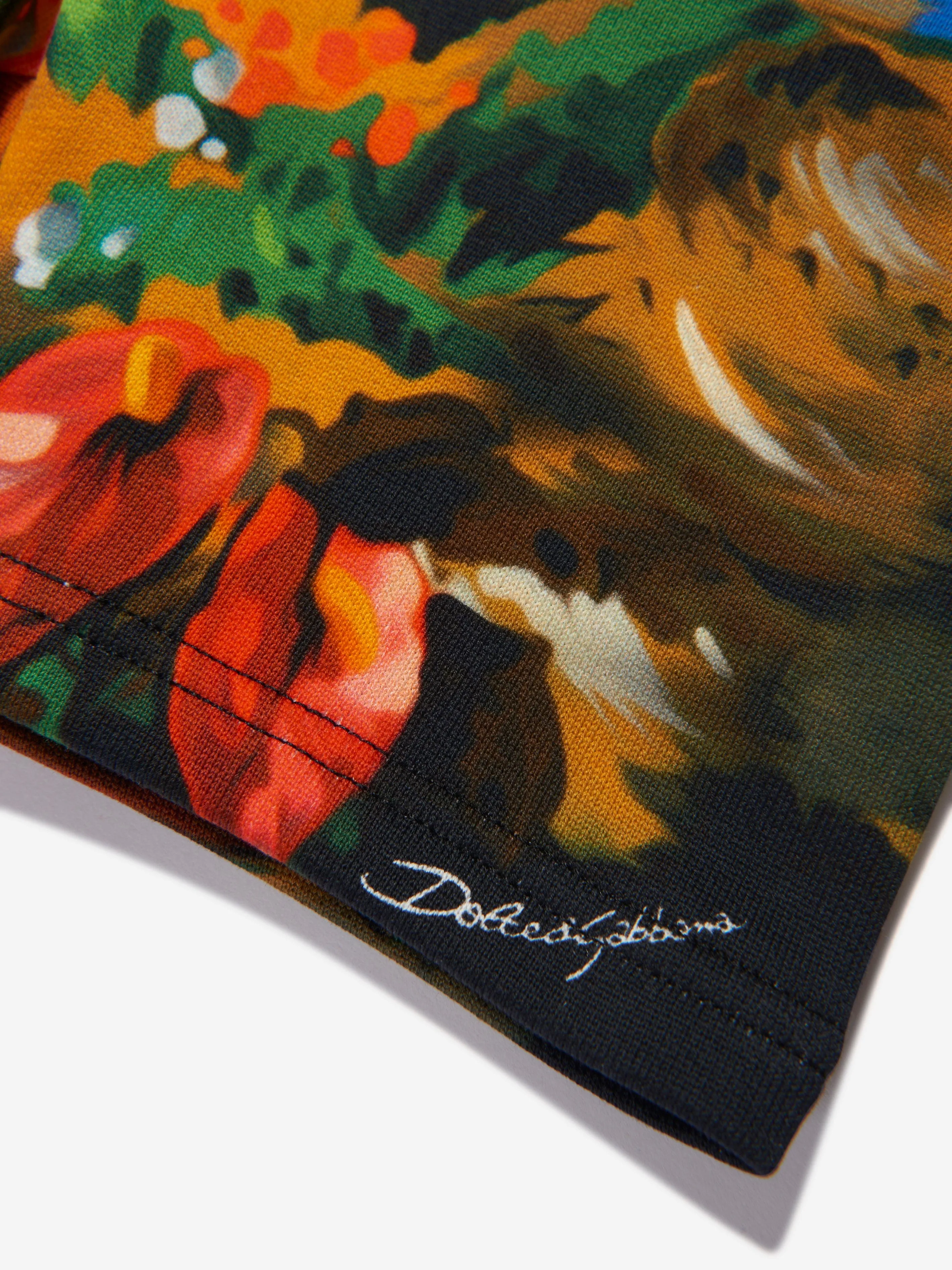 Dolce & Gabbana Baby Boys Hawaiian Shorts in Multicolour