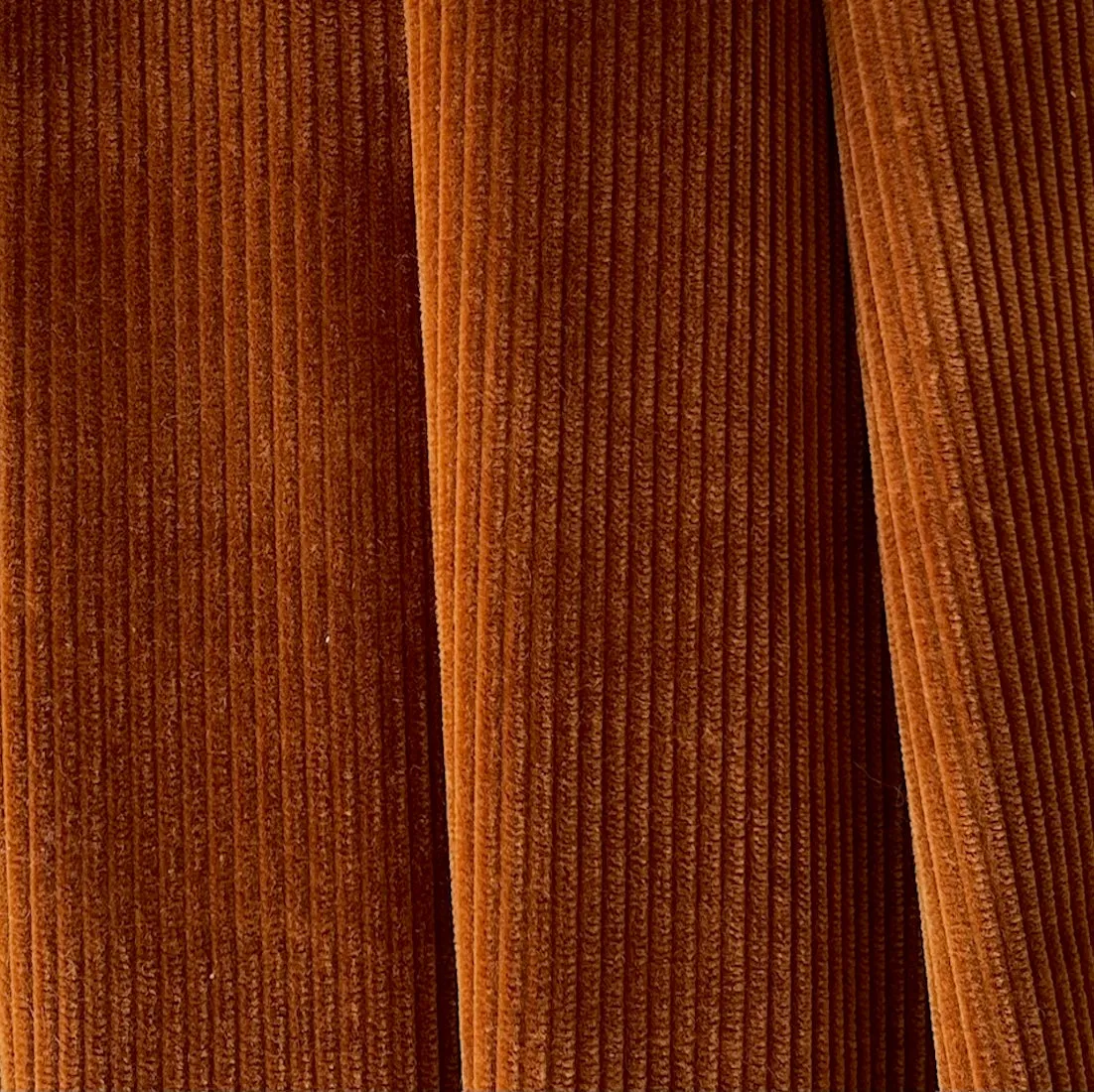Etro Couture Gingered Squash Mid Wale Cotton Corduroy (Made in Italy)