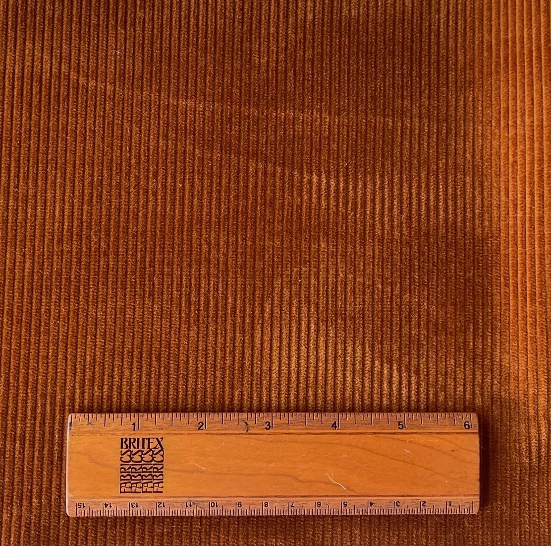 Etro Couture Gingered Squash Mid Wale Cotton Corduroy (Made in Italy)