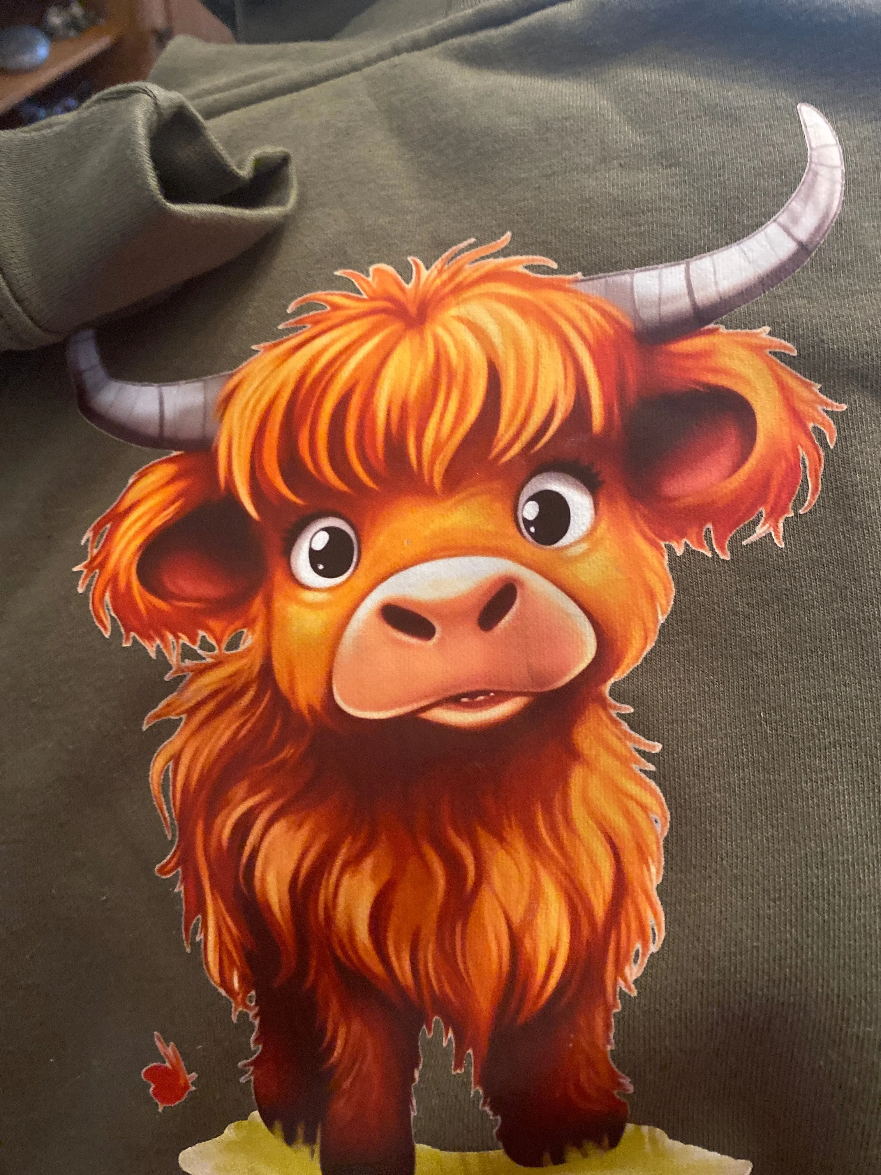 Kids  Cow & Diggers hoodies mix designs mixed sizes reduced