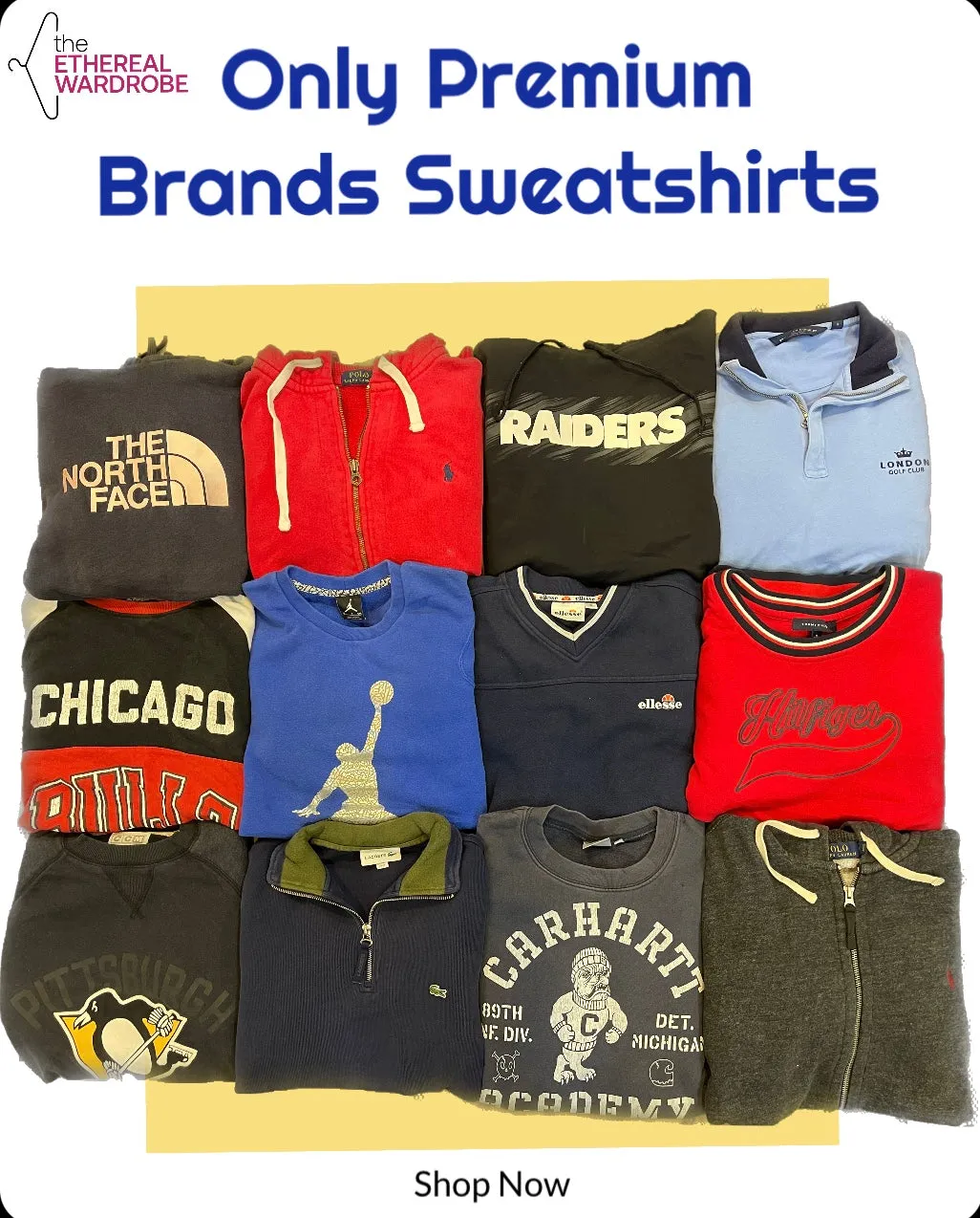 Only Premium Brands Sweatshirts including Polo Ralph Lauren, Lacoste, Carhartt, Patagonia, NFL, NBA, and Other Brands