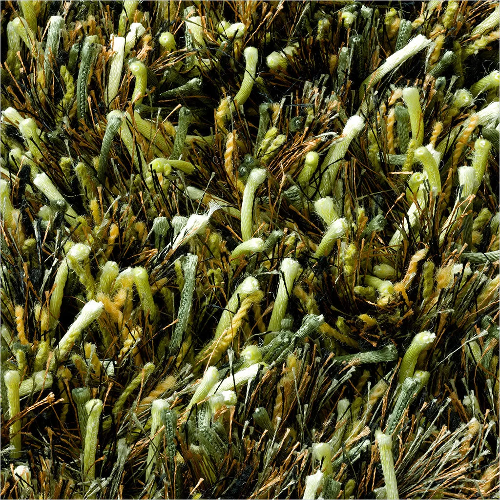 Ronaldo Area Rug - Lime