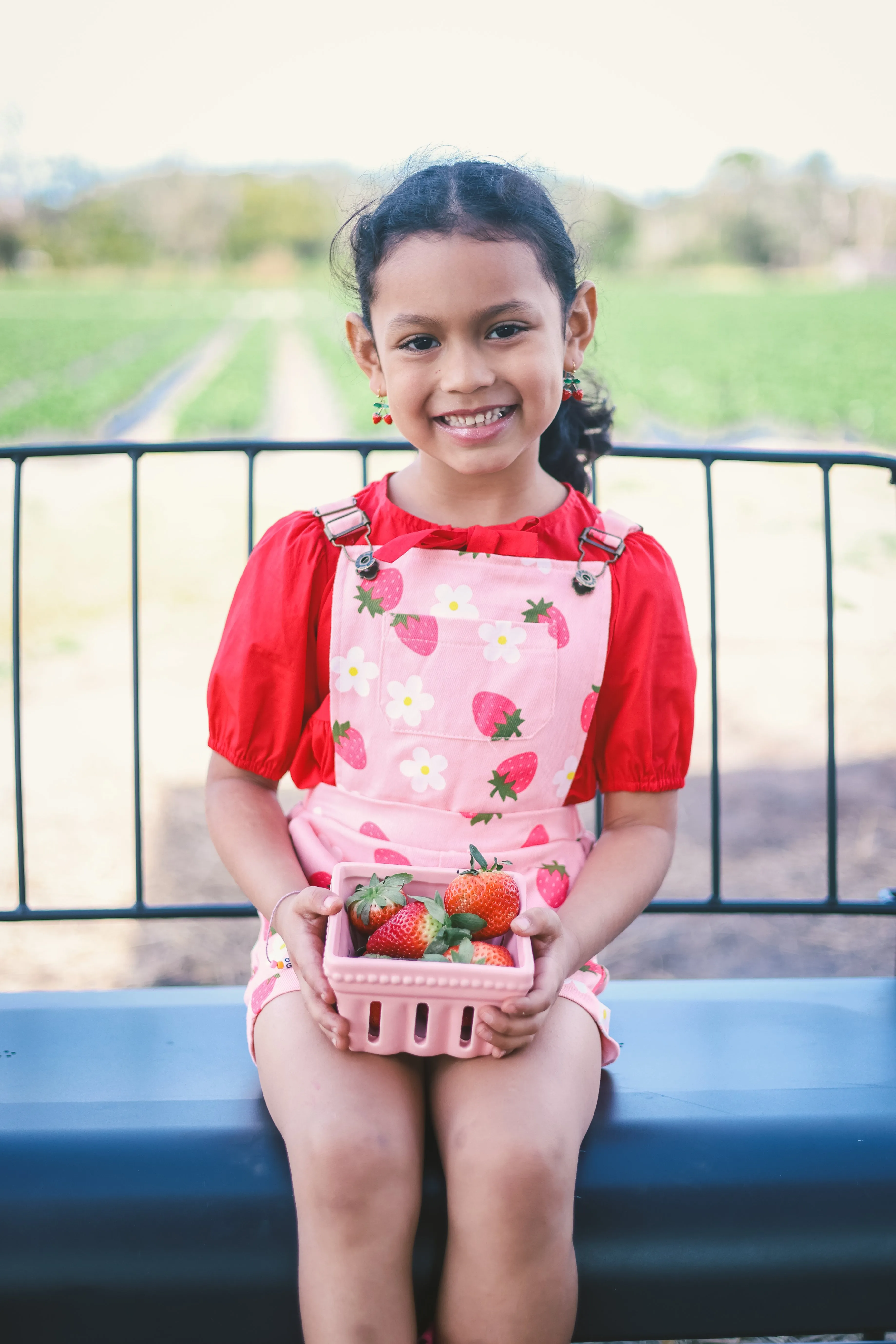 Strawberry Sherbet Overalls