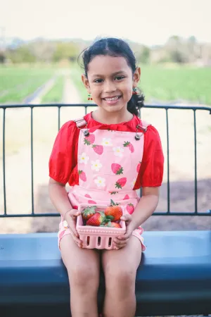 Strawberry Sherbet Overalls