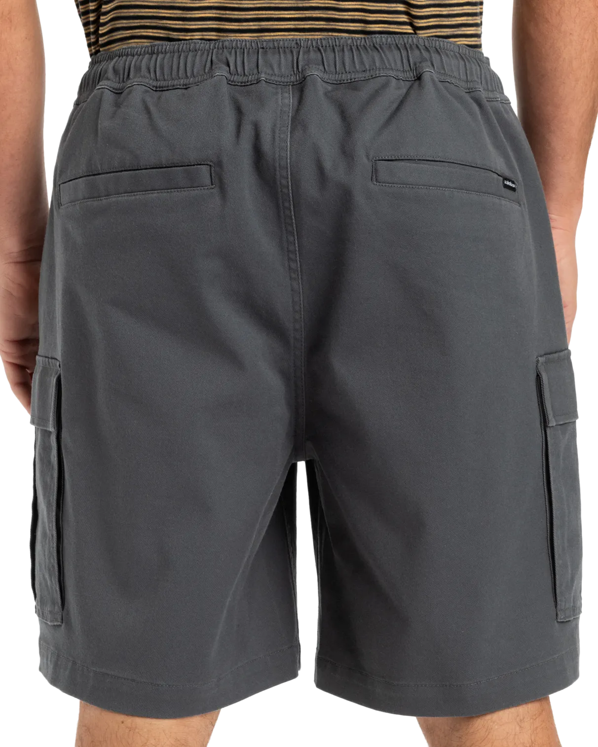 Taxer Cargo Walkshorts in Iron Gate