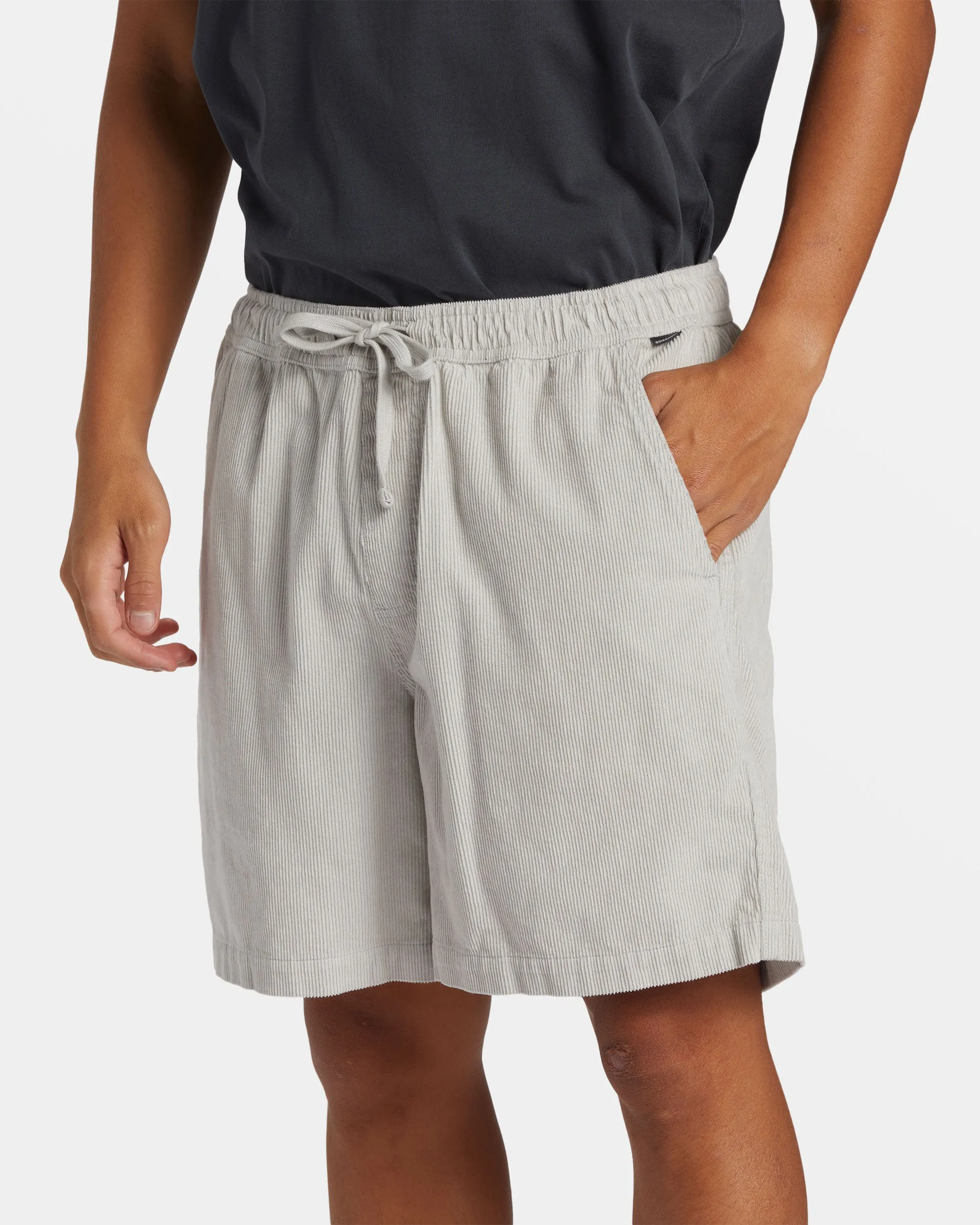 Taxer Corduroy Shorts - Gray Violet
