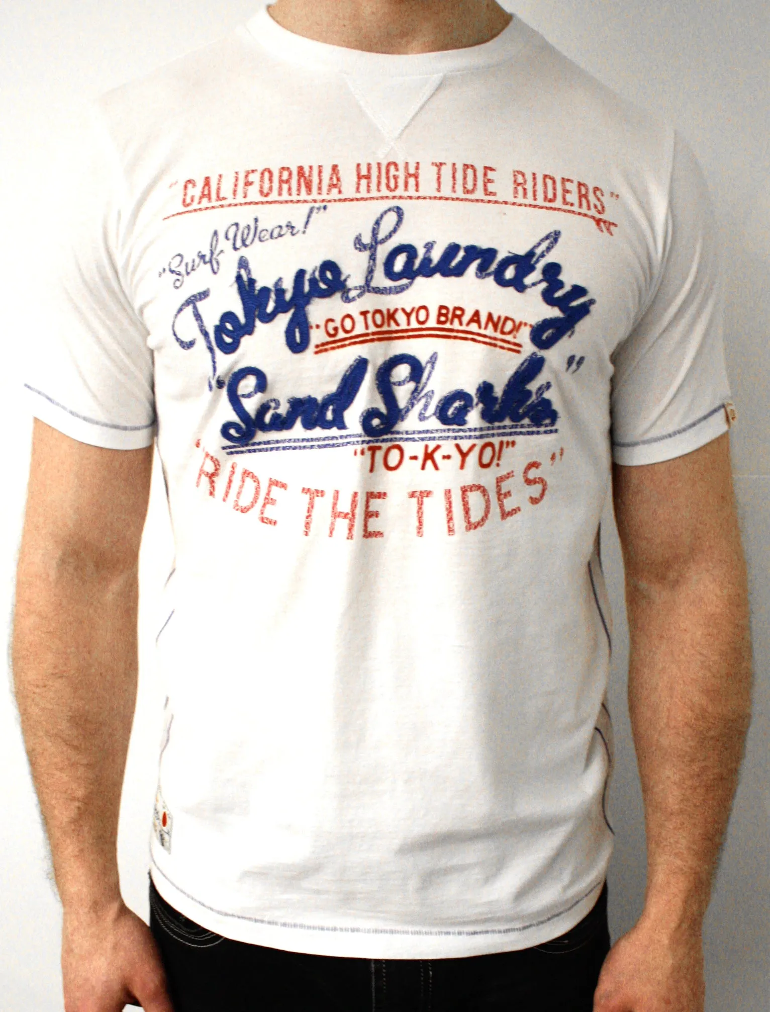 Tokyo Laundry Gazi Crew Neck T-Shirt in Ivory