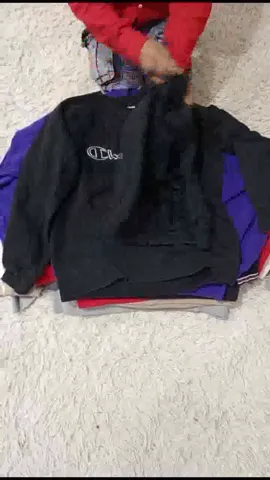 Vintage Branded Sweatshirts-20 pieces