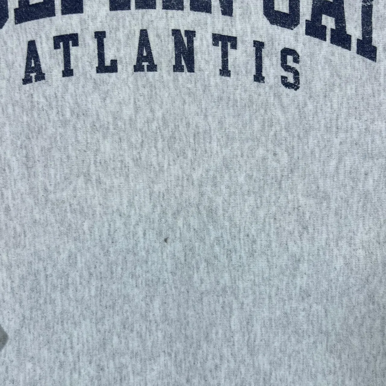 Vintage Champion Reverse Weave DOLPHIN CAY "Atlantis" Spellout Graphic Crewneck Sweatshirt